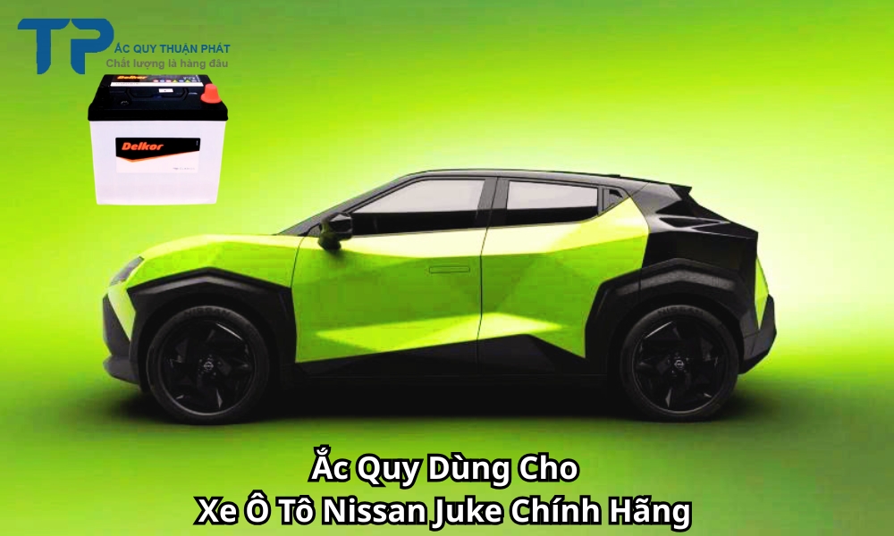 Ắc Quy Dùng Cho Xe Ô Tô Nissan Juke Chính Hãng