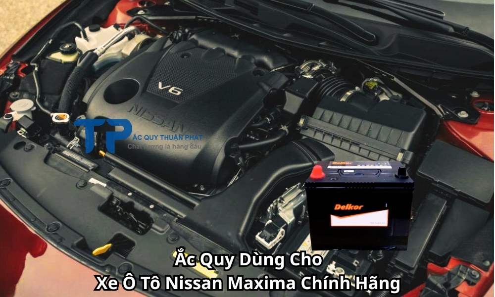 Ắc Quy Dùng Cho Xe Ô Tô Nissan Maxima Chính Hãng