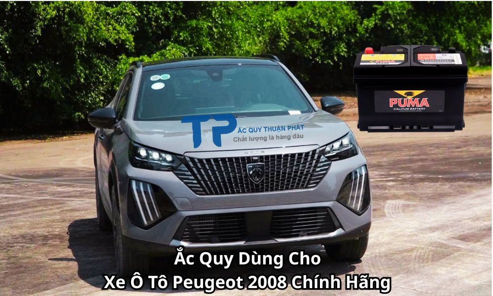 Ắc Quy Dùng Cho Xe Ô Tô Peugeot 2008 Chính Hãng