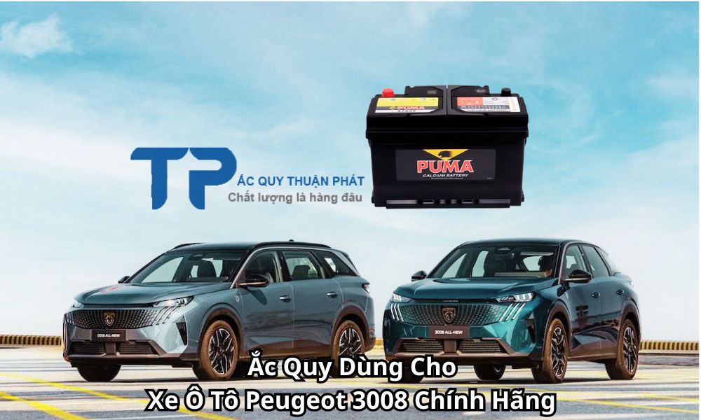 Ắc Quy Dùng Cho Xe Ô Tô Peugeot 3008 Chính Hãng