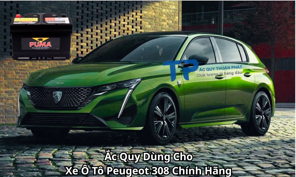 Ắc Quy Dùng Cho Xe Ô Tô Peugeot 308 Chính Hãng
