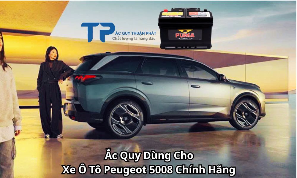 Ắc Quy Dùng Cho Xe Ô Tô Peugeot 5008 Chính Hãng