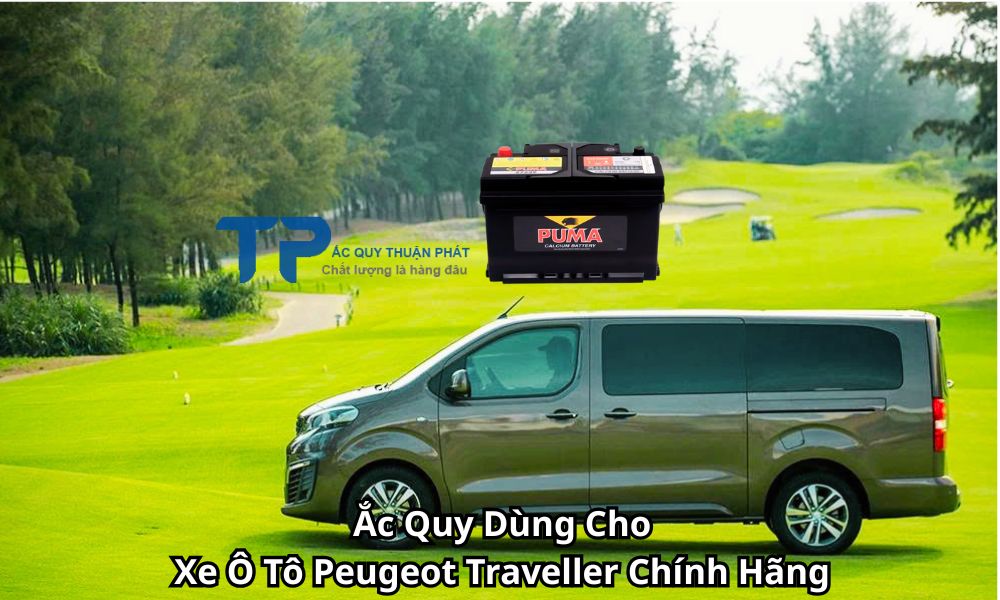 Ắc Quy Dùng Cho Xe Ô Tô Peugeot Traveller Chính Hãng