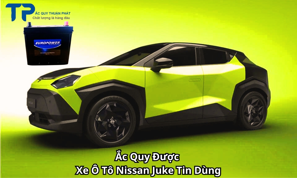 Ắc Quy Được Xe Ô Tô Nissan Juke Tin Dùng
