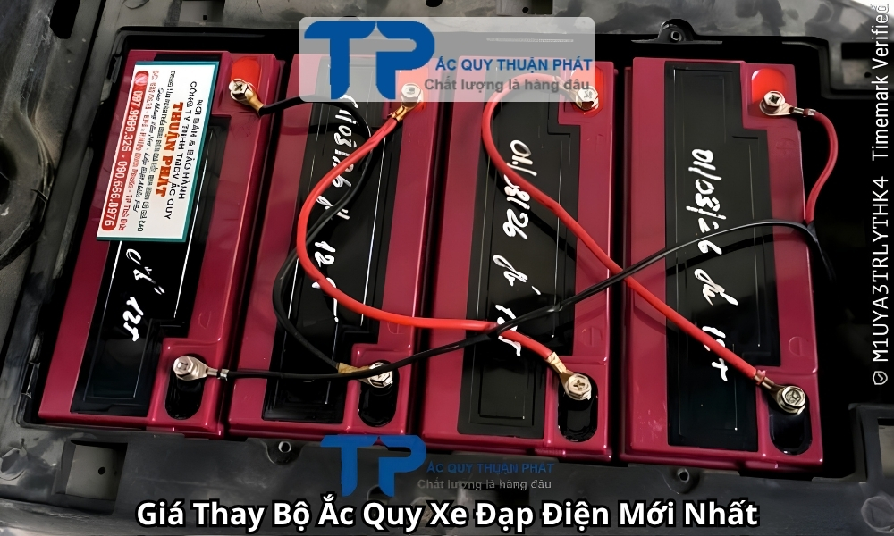 Giá Thay Bộ Ắc Quy Xe Đạp Điện Mới Nhất
