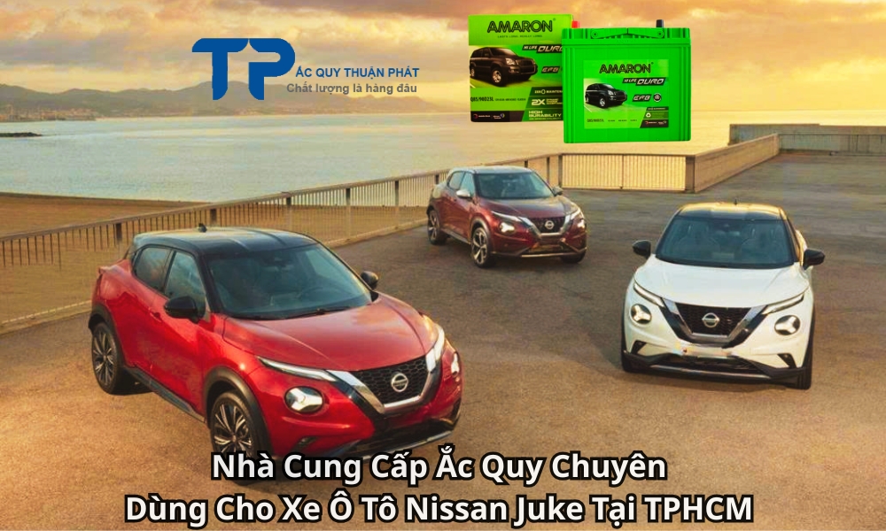 Nhà Cung Cấp Ắc Quy Chuyên Dùng Cho Xe Ô Tô Nissan Juke Tại TPHCM