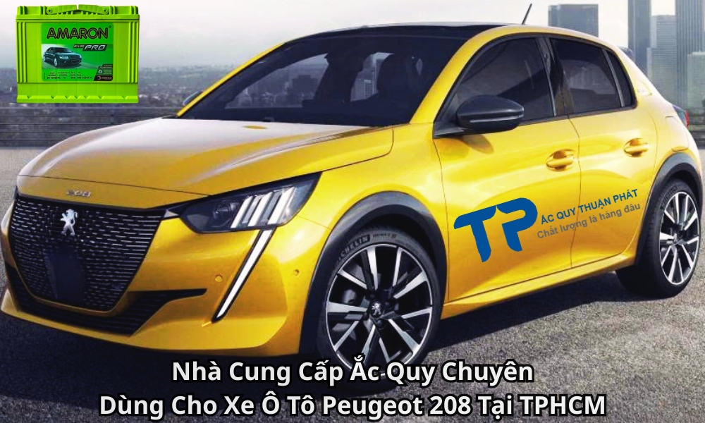 Nhà Cung Cấp Ắc Quy Chuyên Dùng Cho Xe Ô Tô Peugeot 208 Tại TPHCM