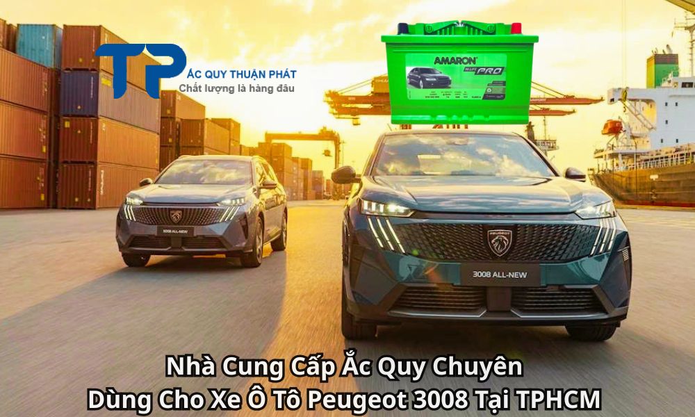 Nhà Cung Cấp Ắc Quy Chuyên Dùng Cho Xe Ô Tô Peugeot 3008 Tại TPHCM