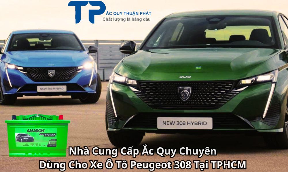Nhà Cung Cấp Ắc Quy Chuyên Dùng Cho Xe Ô Tô Peugeot 308 Tại TPHCM