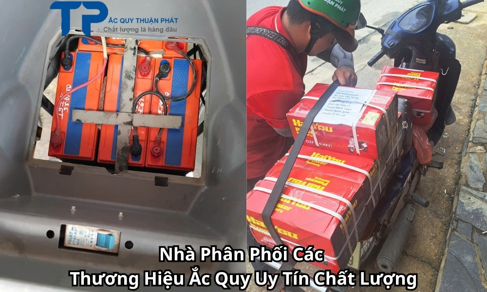 Nhà Phân Phối Các Thương Hiệu Ắc Quy Uy Tín Chất Lượng