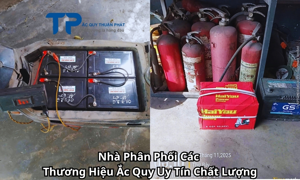 Nhà Phân Phối Các Thương Hiệu Ắc Quy Uy Tín Chất Lượng