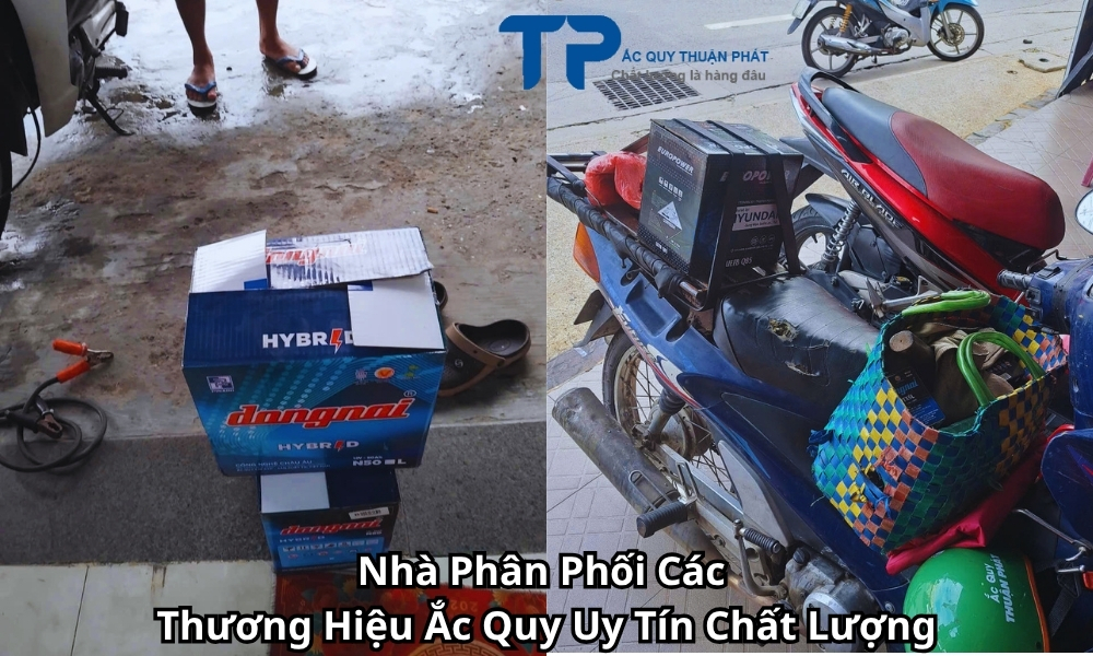 Nhà Phân Phối Các Thương Hiệu Ắc Quy Uy Tín Chất Lượng