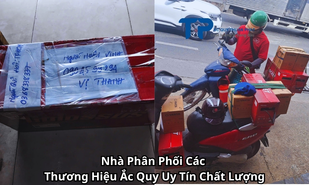 Nhà Phân Phối Các Thương Hiệu Ắc Quy Uy Tín Chất Lượng