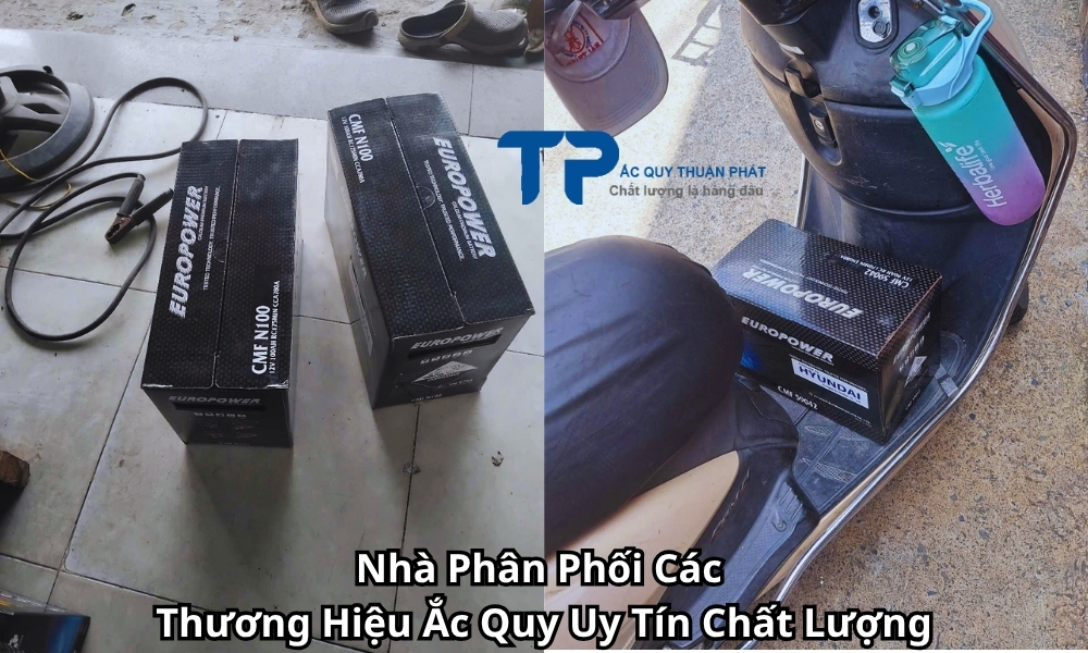 Nhà Phân Phối Các Thương Hiệu Ắc Quy Uy Tín Chất Lượng