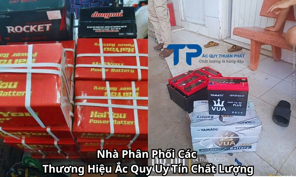 Nhà Phân Phối Các Thương Hiệu Ắc Quy Uy Tín Chất Lượng