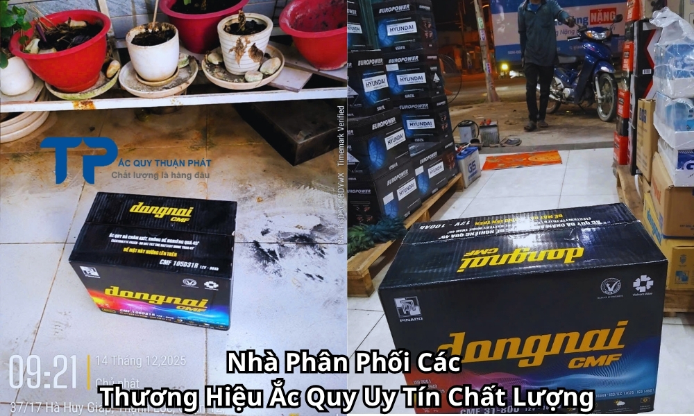 Nhà Phân Phối Các Thương Hiệu Ắc Quy Uy Tín Chất Lượng