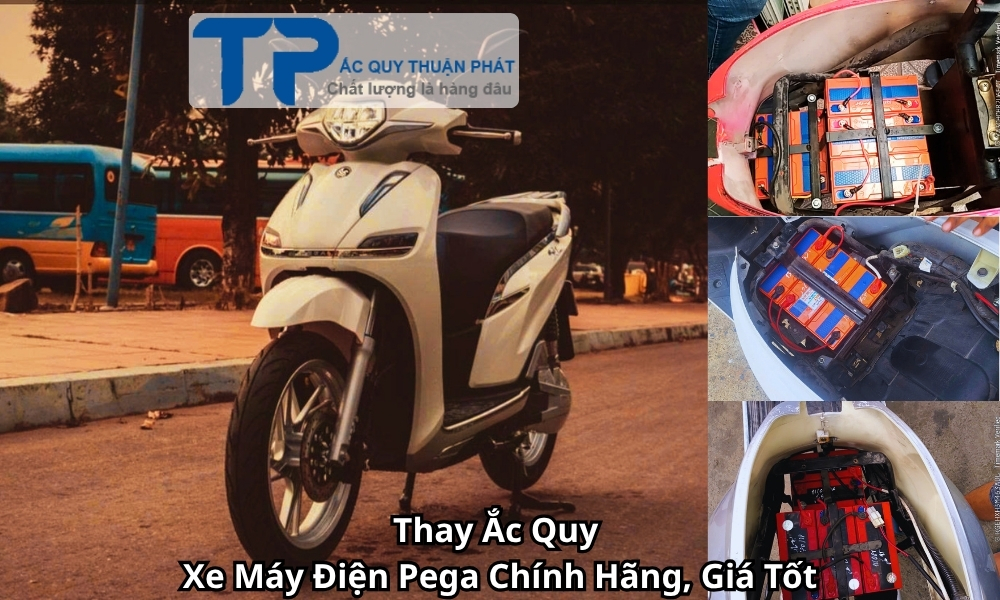 Thay Ắc Quy Xe Máy Điện Pega Chính Hãng, Giá Tốt