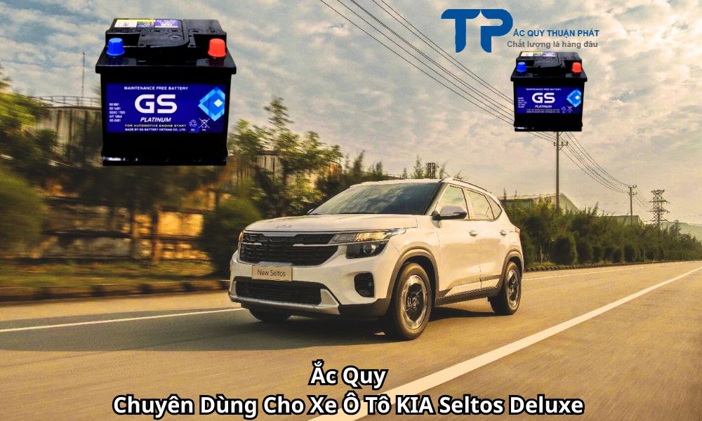 Ắc Quy Chuyên Dùng Cho Xe Ô Tô KIA Seltos Deluxe
