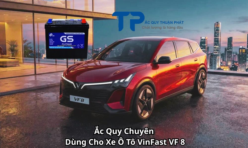 Ắc Quy Chuyên Dùng Cho Xe Ô Tô VinFast VF 8