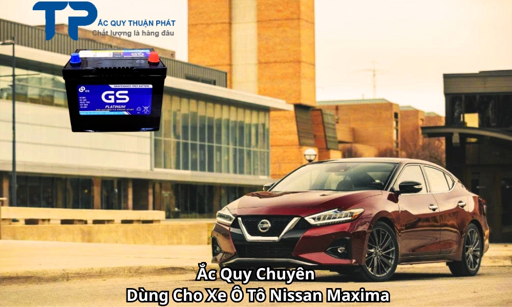 Ắc Quy Chuyên Dùng Cho Xe Ô Tô Nissan Maxima